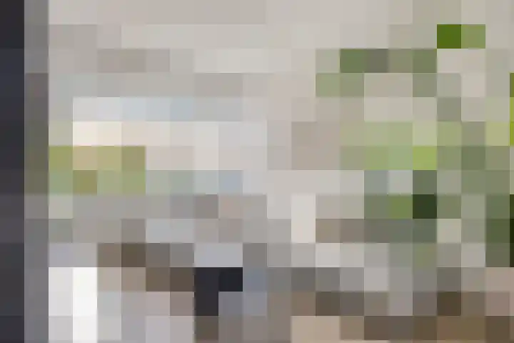 Tulpstraat 32 Woerden thumbnail 6
