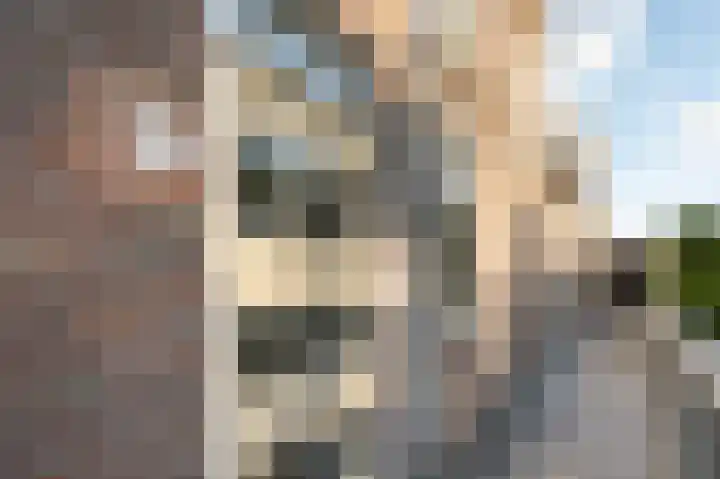 Tulpstraat 33 Amersfoort thumbnail 31