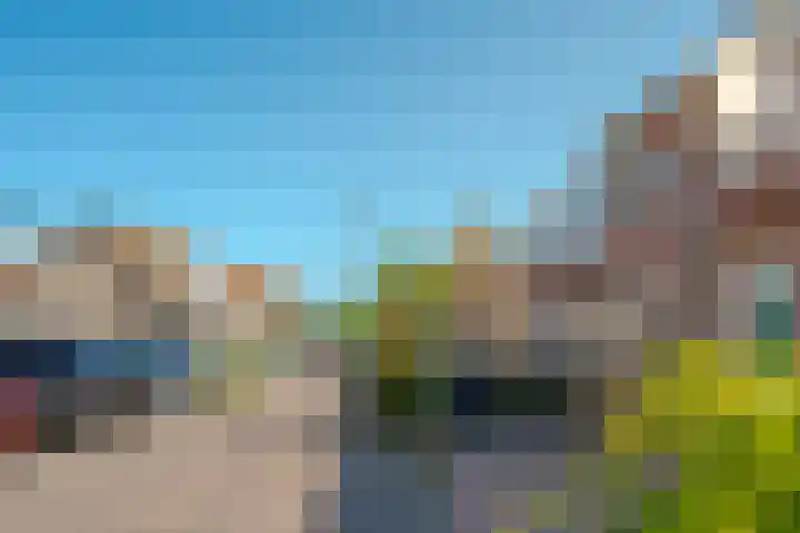 Tulpstraat 33 Hattem foto 3