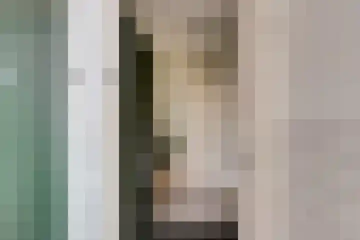 Tulpstraat 33 Zwijndrecht thumbnail 8