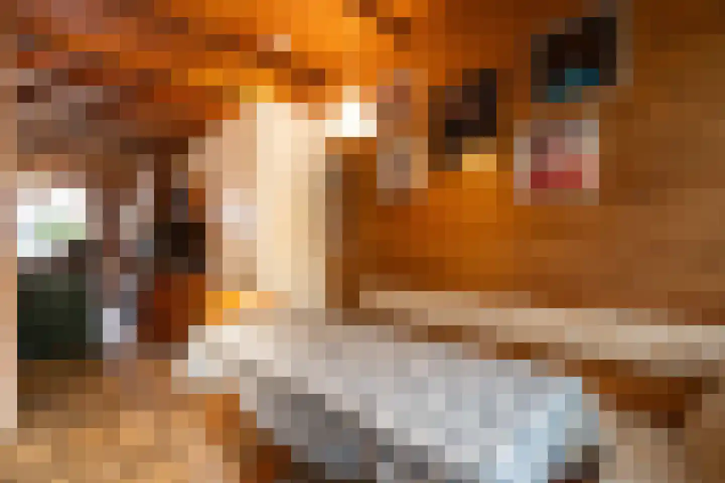 Tulpstraat 34 Culemborg thumbnail 13