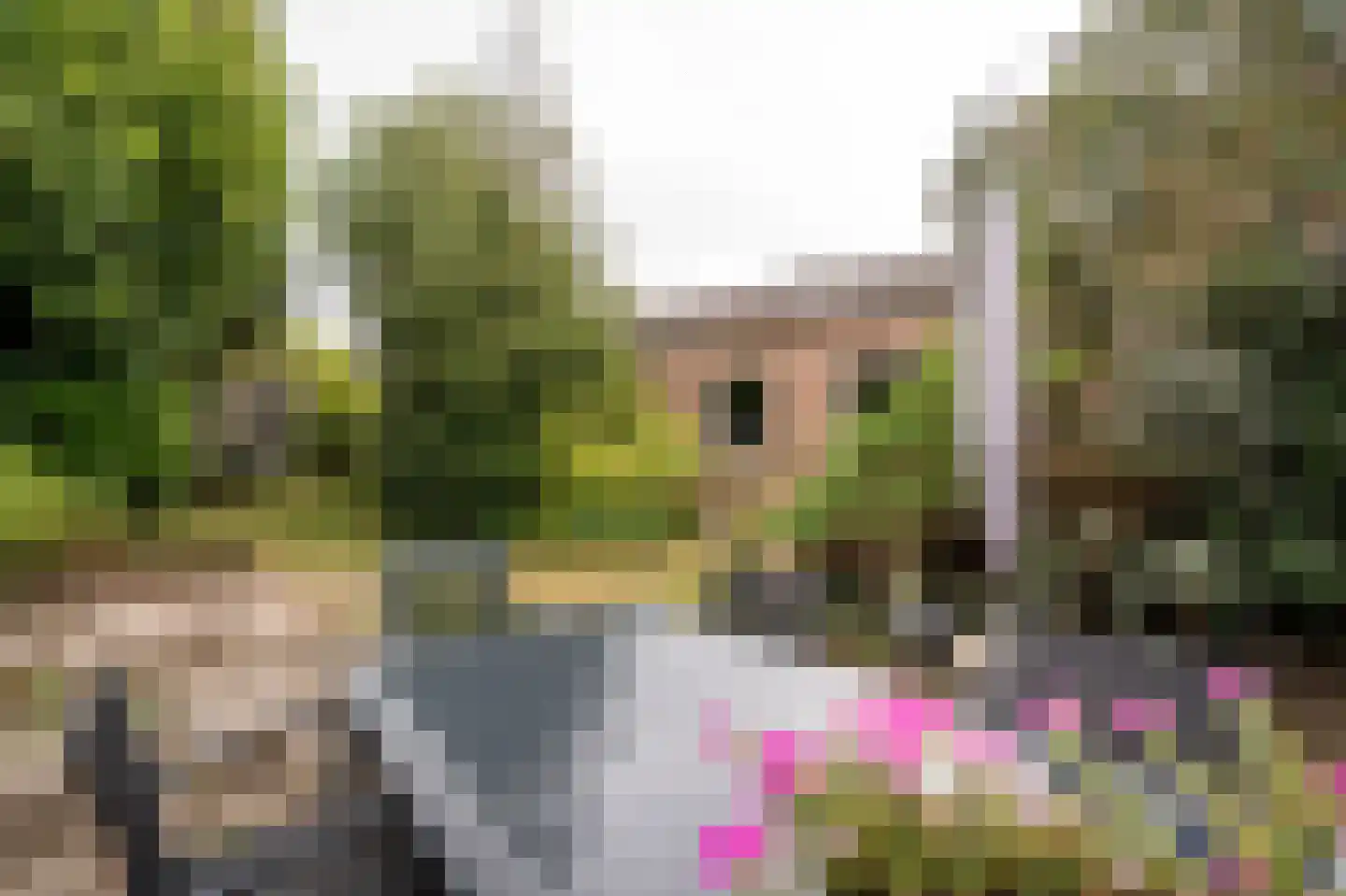 Tulpstraat 34 Culemborg thumbnail 18