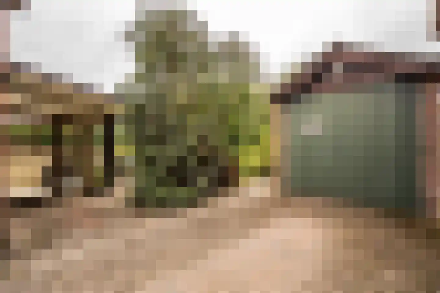 Tulpstraat 34 Culemborg thumbnail 19