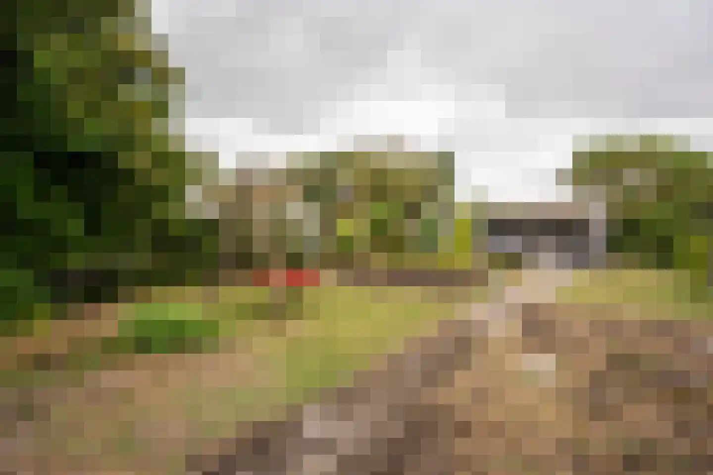 Tulpstraat 34 Culemborg thumbnail 20