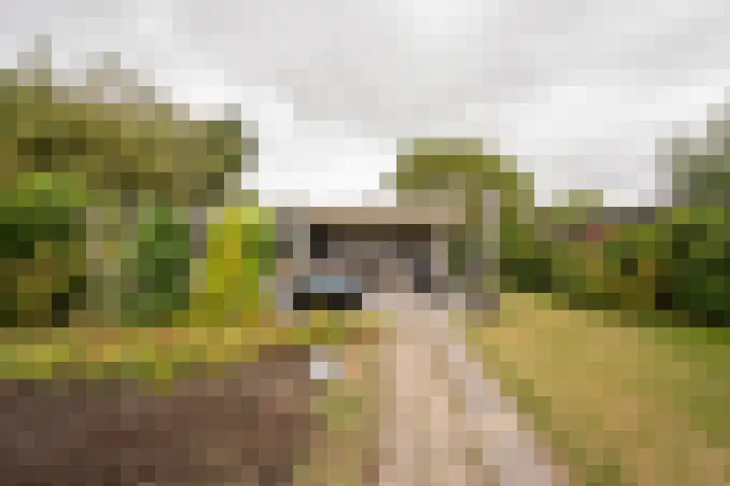 Tulpstraat 34 Culemborg thumbnail 22