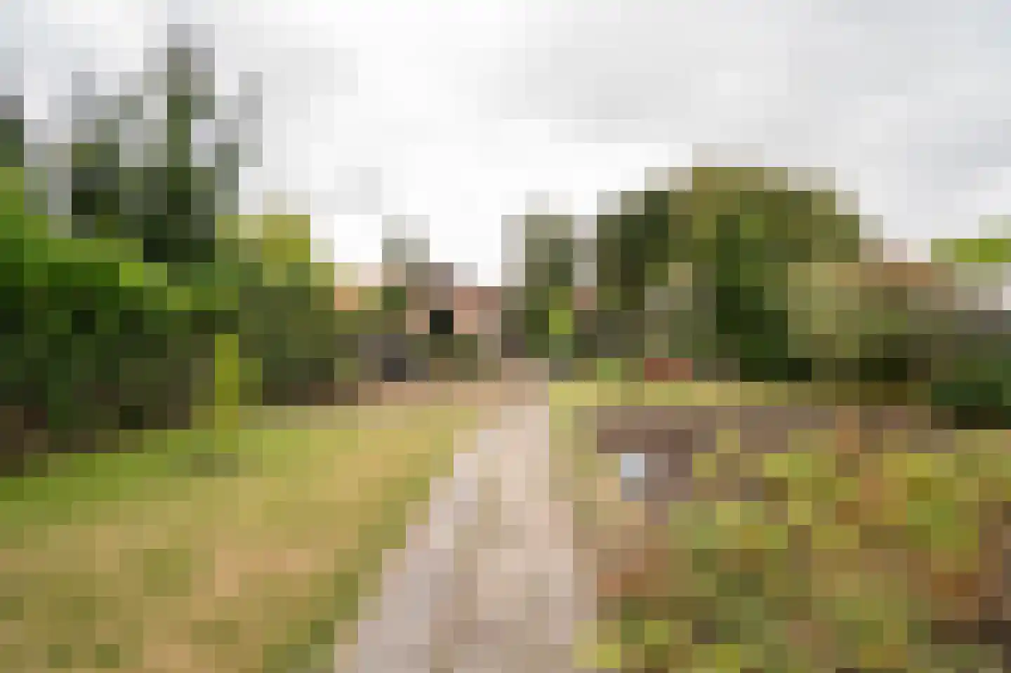 Tulpstraat 34 Culemborg thumbnail 26