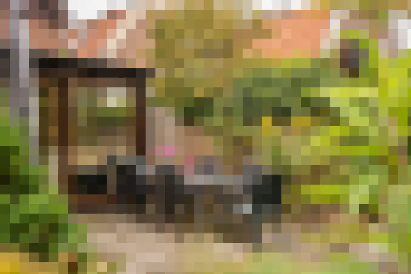 Tulpstraat 34 Culemborg thumbnail 29