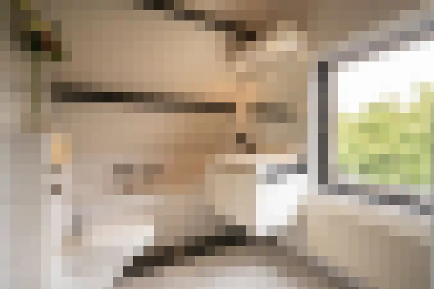 Tulpstraat 34 Culemborg thumbnail 38