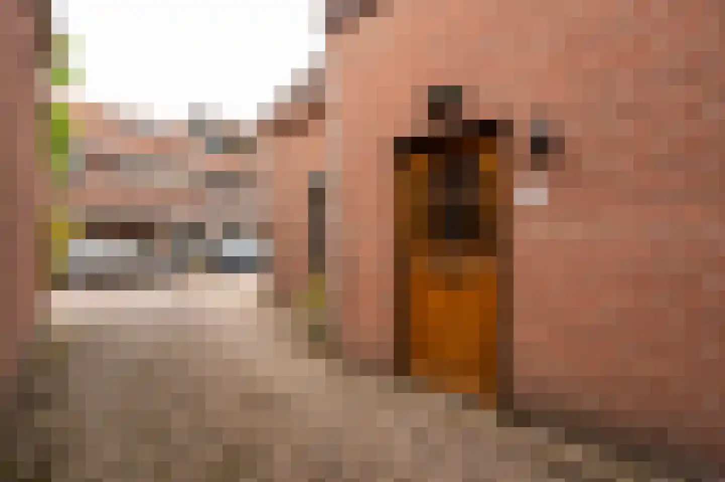 Tulpstraat 34 Culemborg thumbnail 44