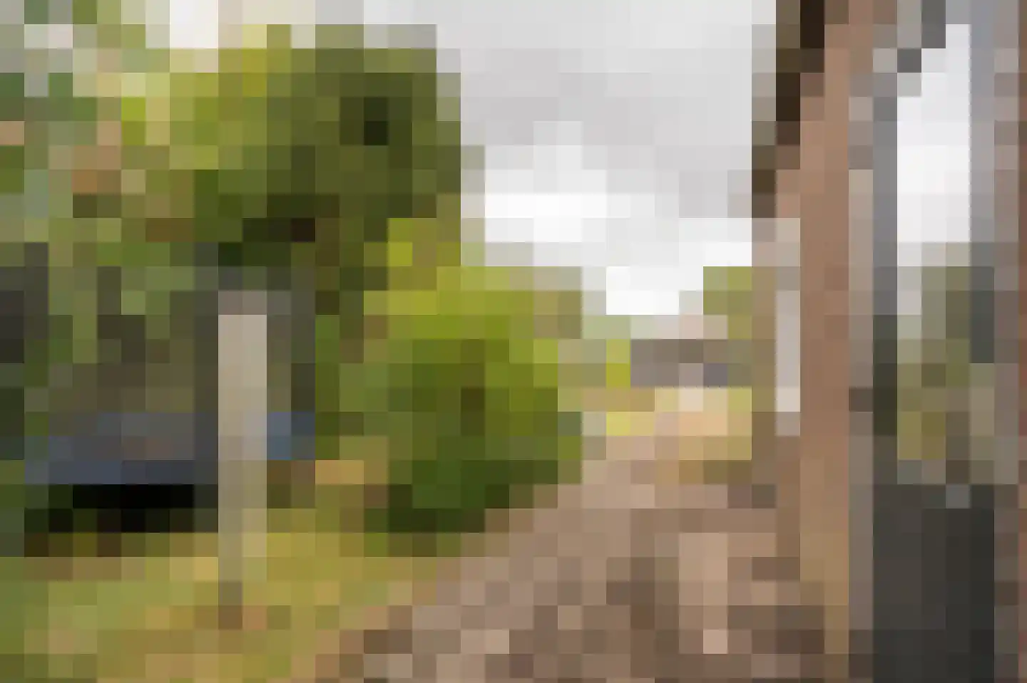 Tulpstraat 34 Culemborg thumbnail 5