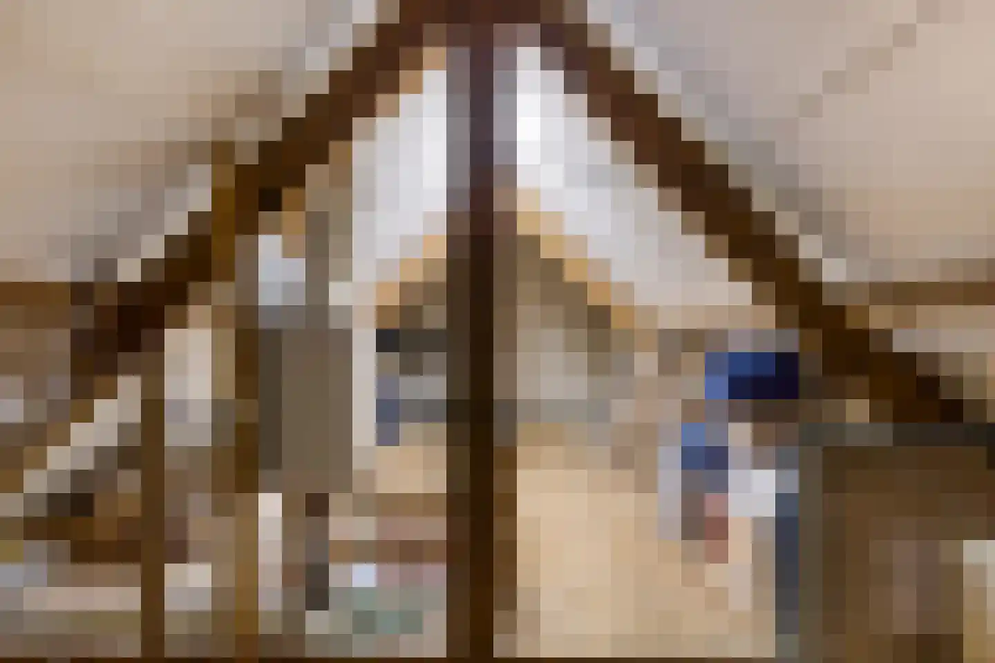 Tulpstraat 34 Koog aan de Zaan thumbnail 25
