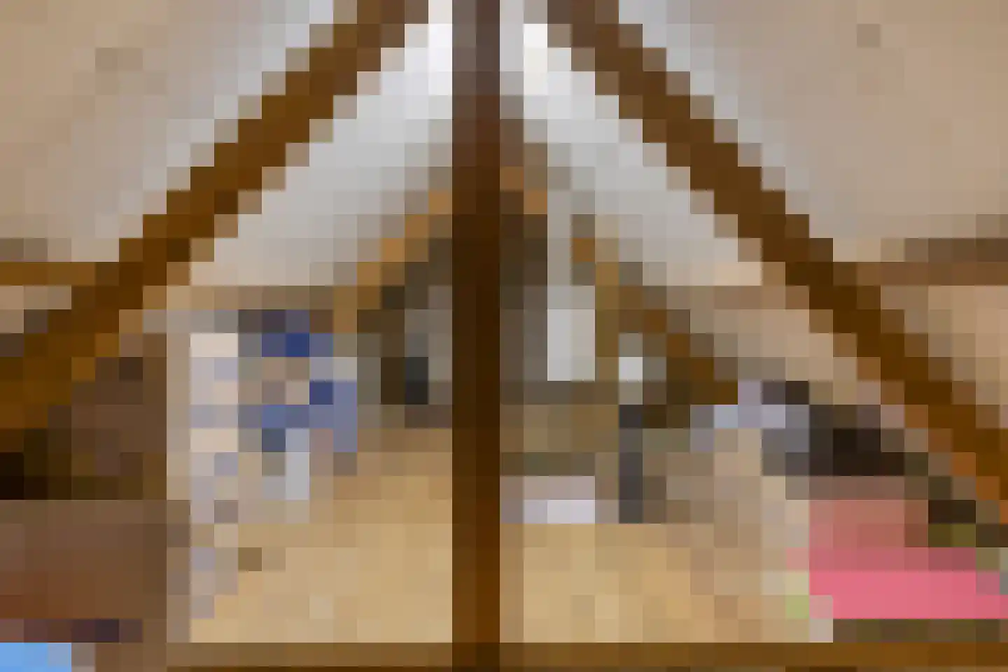 Tulpstraat 34 Koog aan de Zaan thumbnail 26