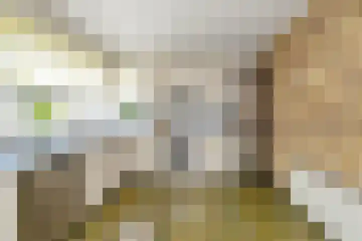 Tulpstraat 34 Losser thumbnail 13