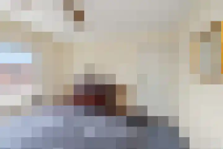 Tulpstraat 34 Losser thumbnail 18