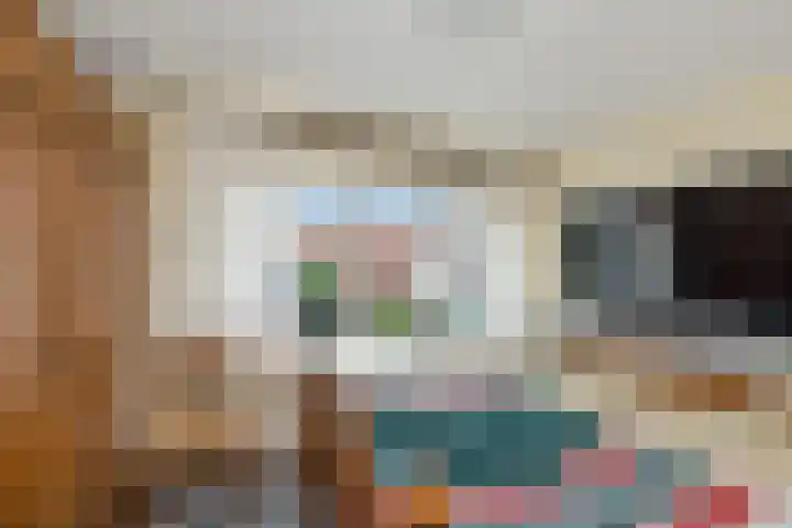Tulpstraat 34 Losser thumbnail 22