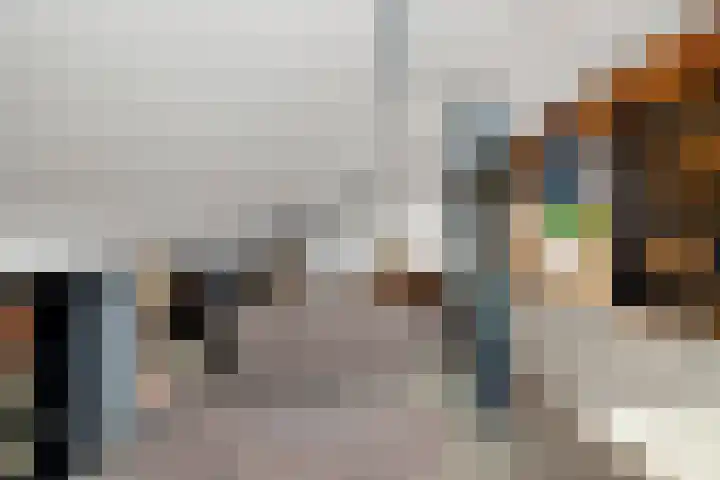 Tulpstraat 34 Losser thumbnail 27