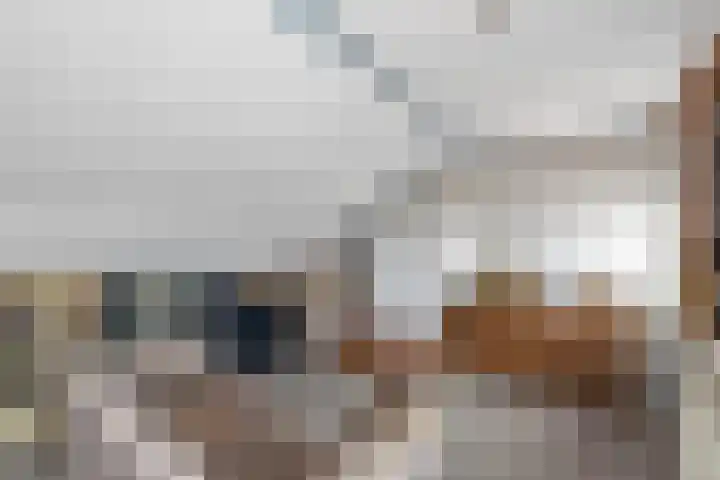Tulpstraat 34 Losser thumbnail 29