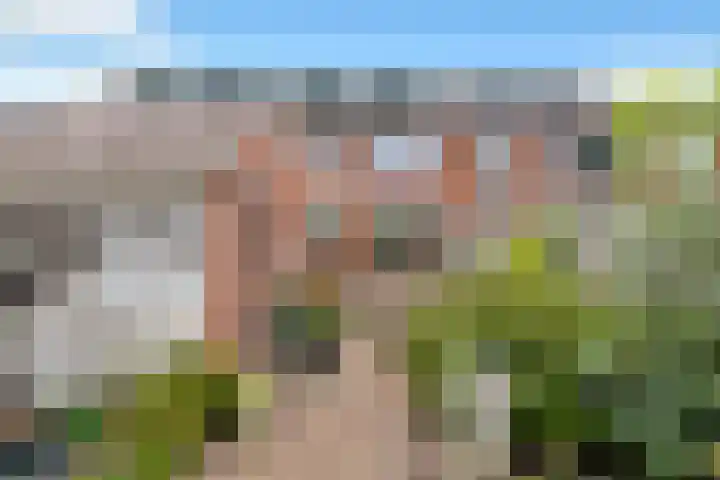 Tulpstraat 34 Losser thumbnail 30