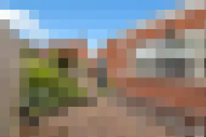 Tulpstraat 34 Losser thumbnail 32