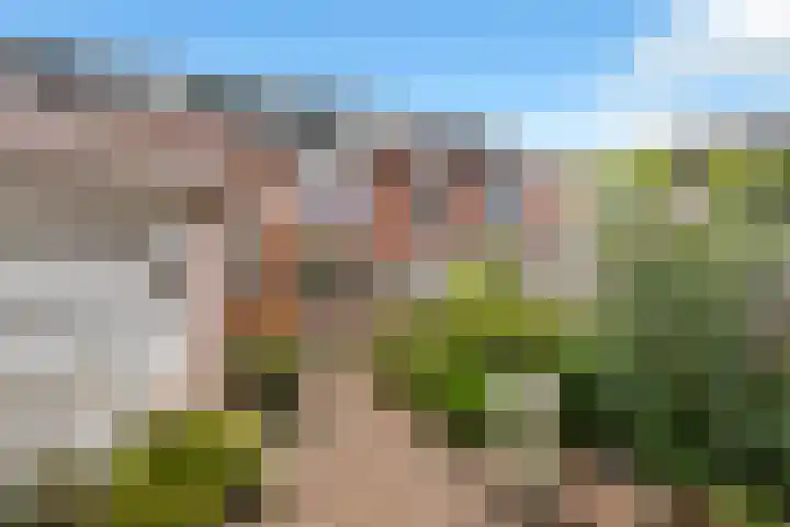 Tulpstraat 34 Losser thumbnail 33