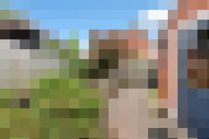 Tulpstraat 34 Losser thumbnail 34