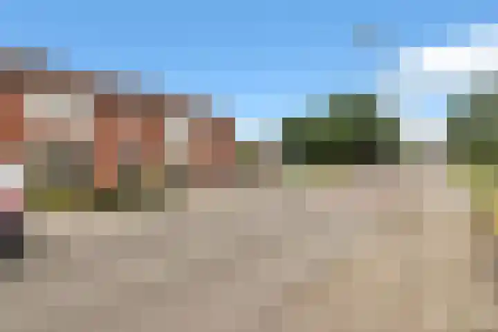 Tulpstraat 34 Losser thumbnail 38