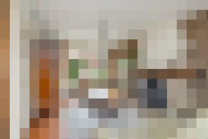 Tulpstraat 34 Losser thumbnail 4