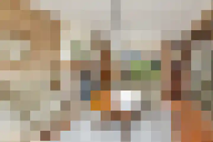 Tulpstraat 34 Losser thumbnail 7