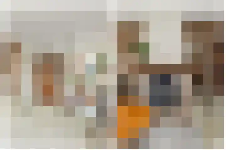 Tulpstraat 34 Losser thumbnail 8
