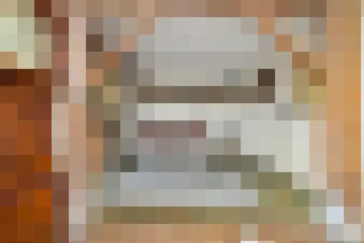 Tulpstraat 34 Losser thumbnail 9