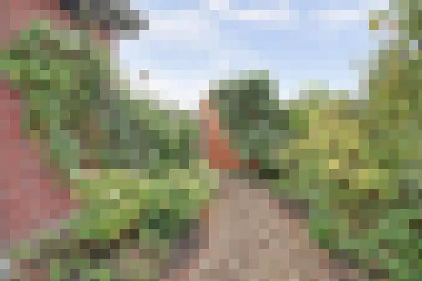 Tulpstraat 35 Culemborg thumbnail 43