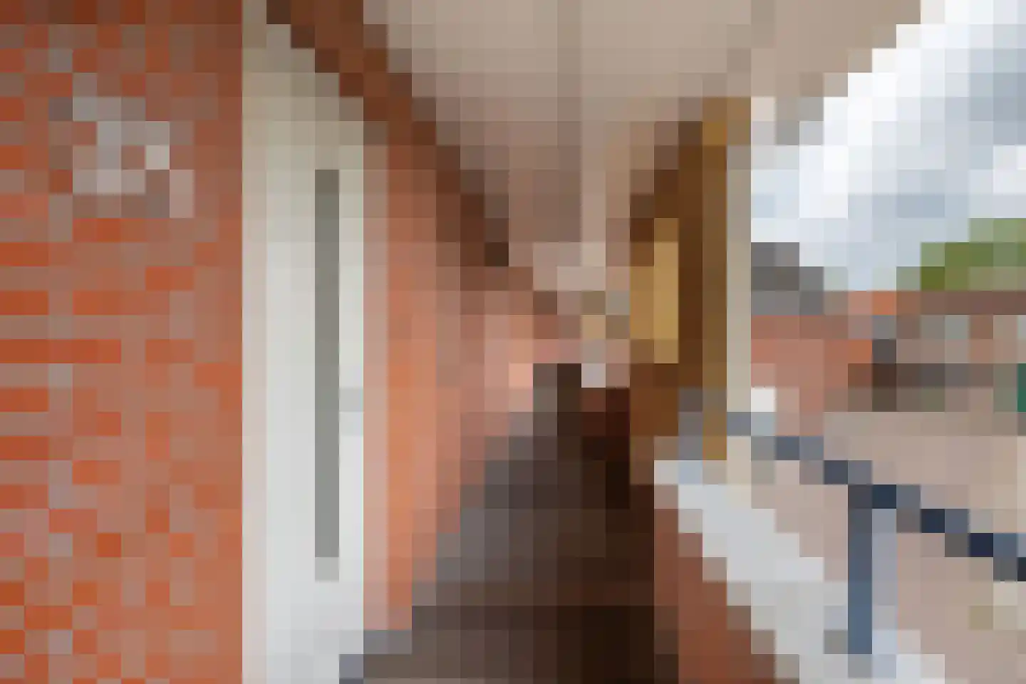 Tulpstraat 35 Sneek thumbnail 19