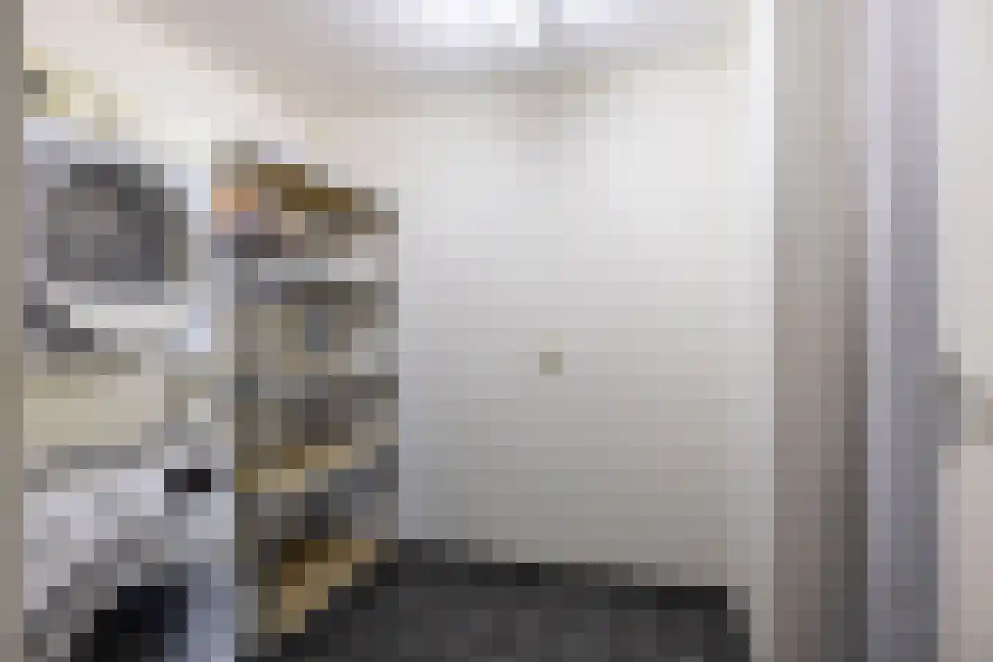 Tulpstraat 35 Sneek thumbnail 24