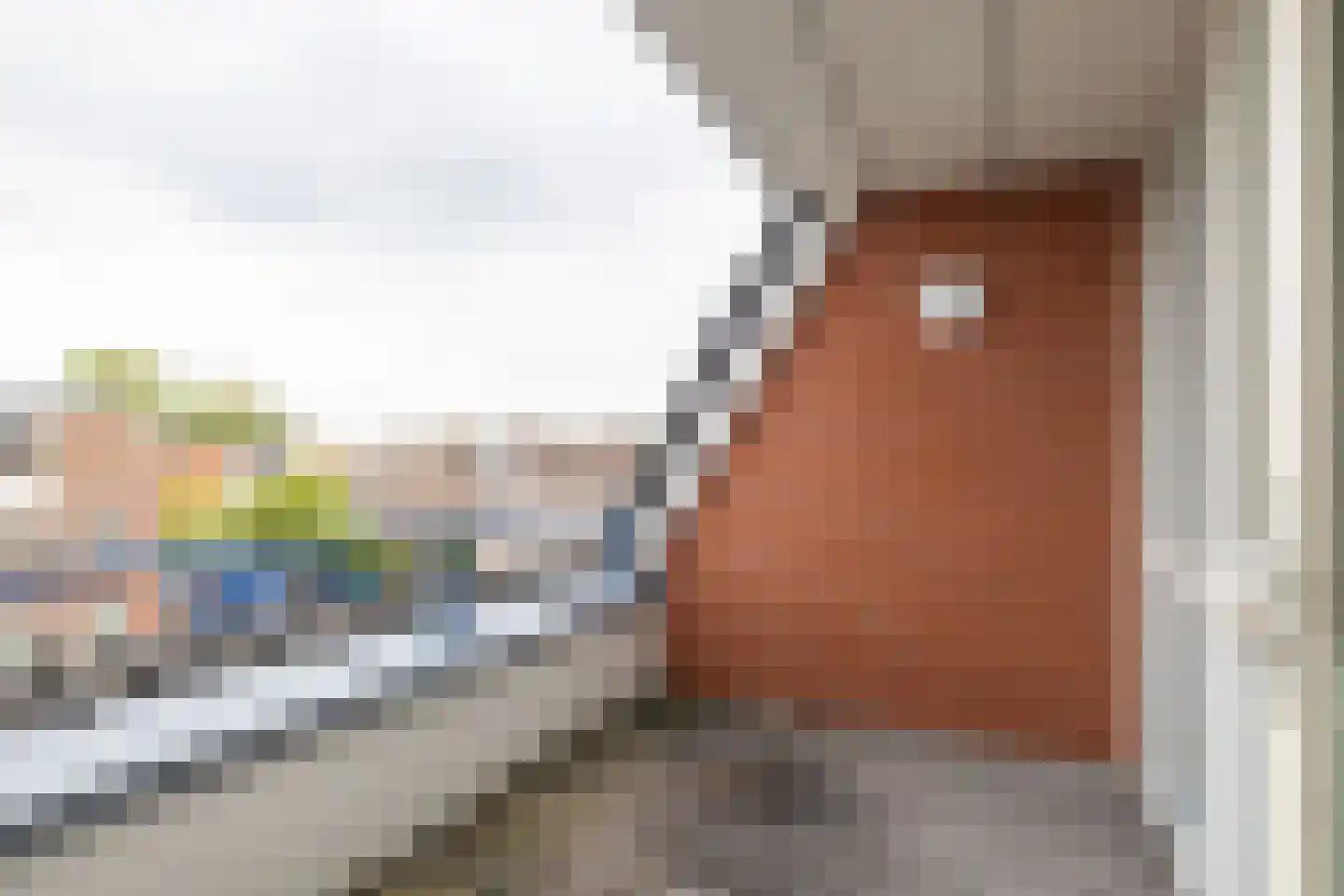 Tulpstraat 35 Sneek thumbnail 45