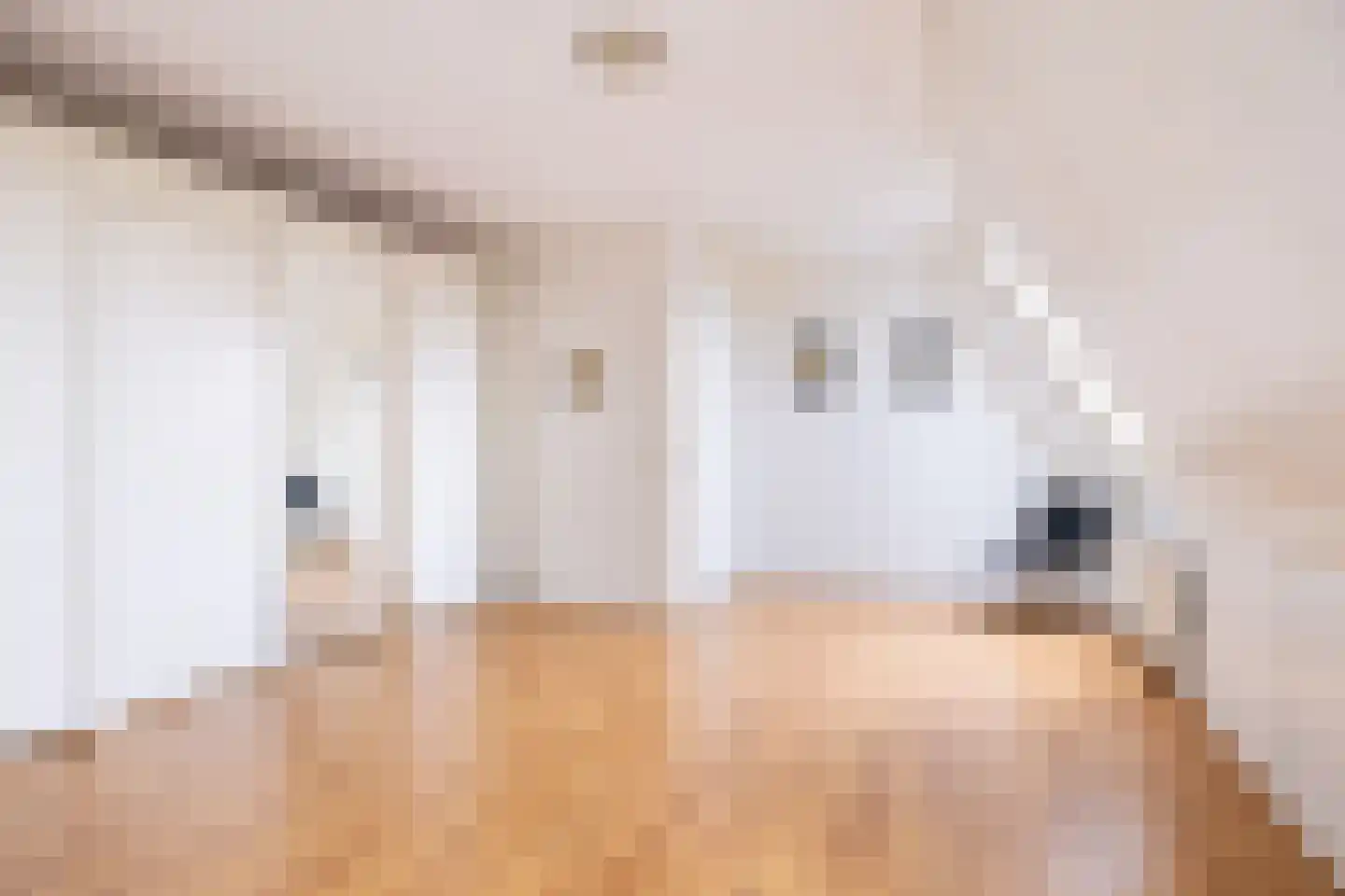 Tulpstraat 35 Sneek thumbnail 52