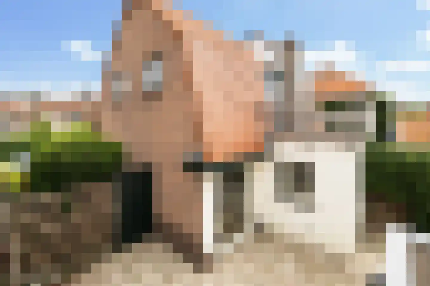 Tulpstraat 36 Baarn thumbnail 18