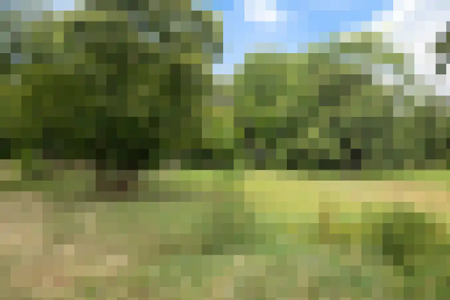 Tulpstraat 36 Baarn thumbnail 23