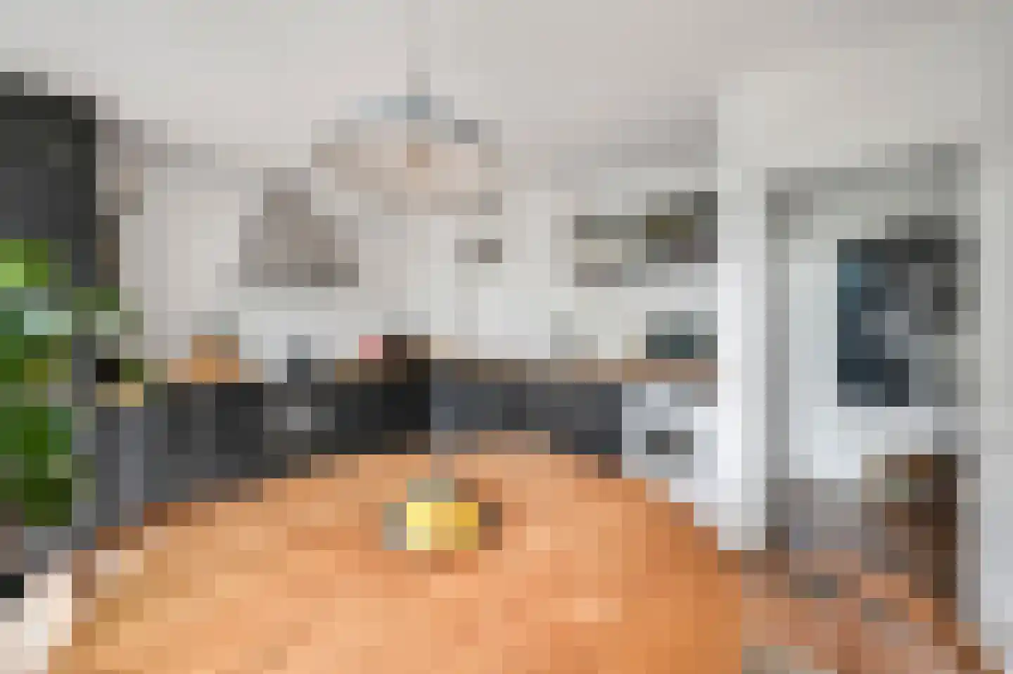 Tulpstraat 36 Rijswijk thumbnail 13