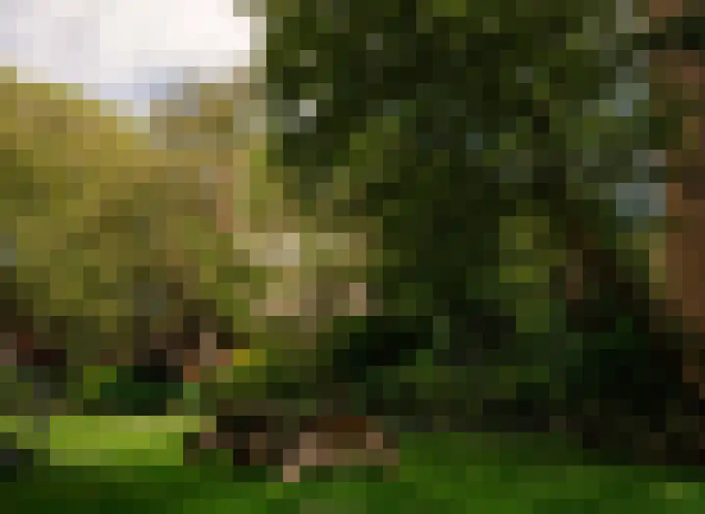 Tulpstraat 36 Rijswijk thumbnail 22