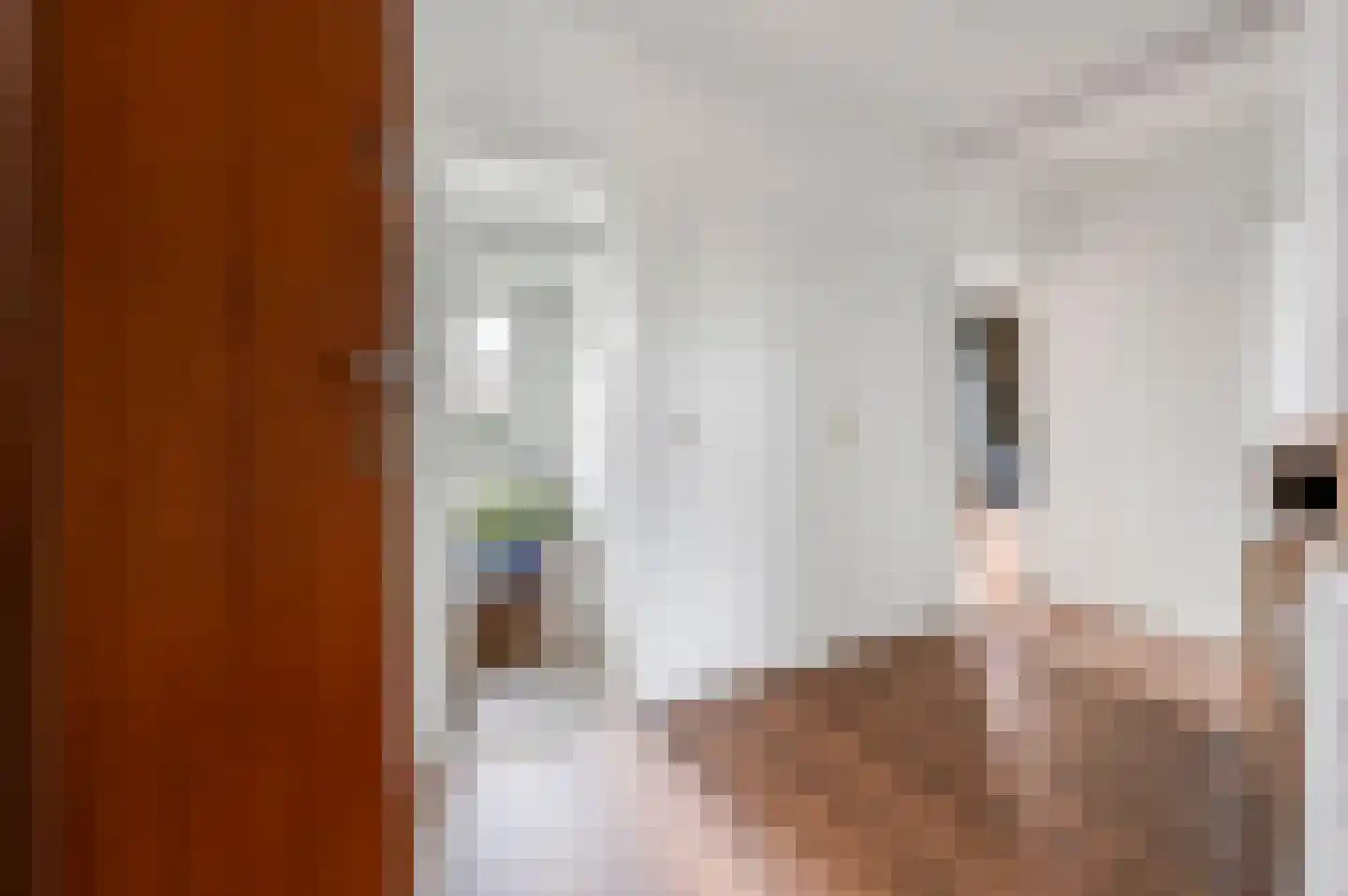 Tulpstraat 36 Rijswijk thumbnail 4