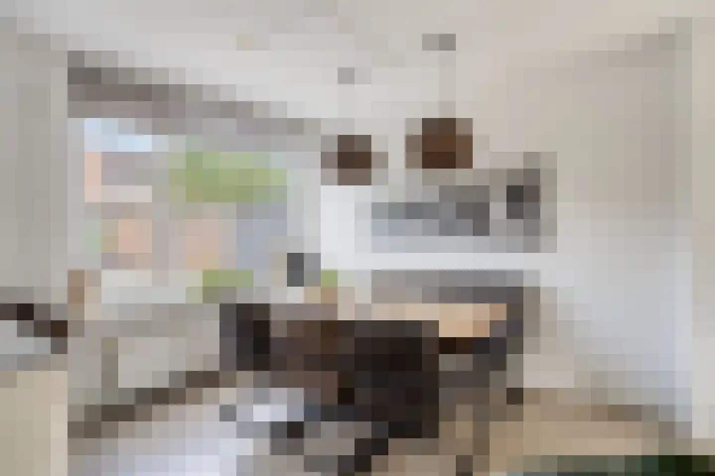Tulpstraat 37 Malden thumbnail 10