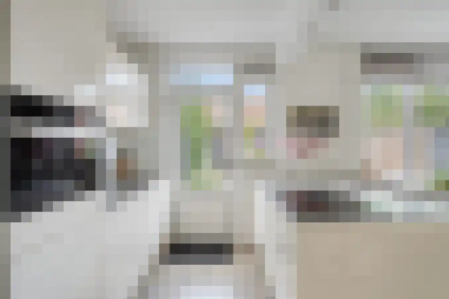Tulpstraat 37 Malden thumbnail 11