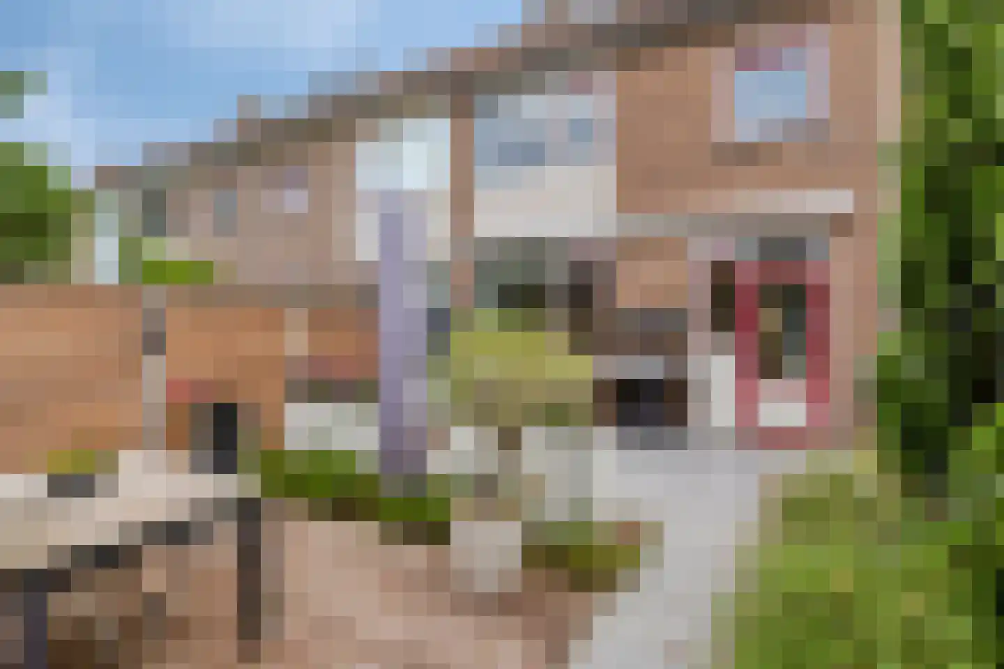 Tulpstraat 37 Malden thumbnail 26