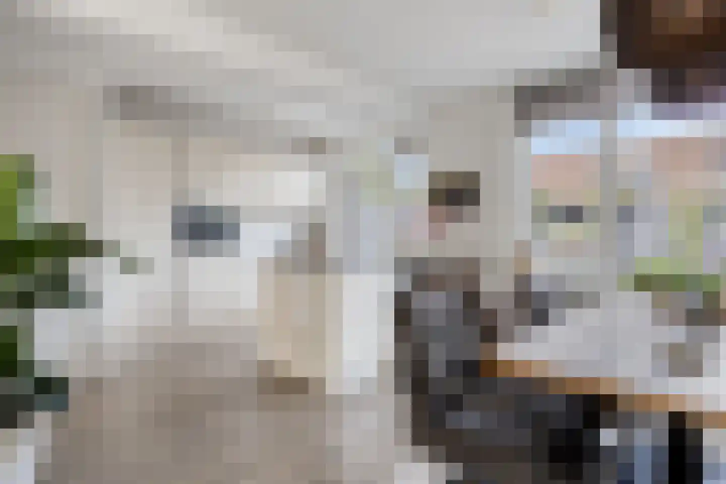 Tulpstraat 37 Malden thumbnail 8