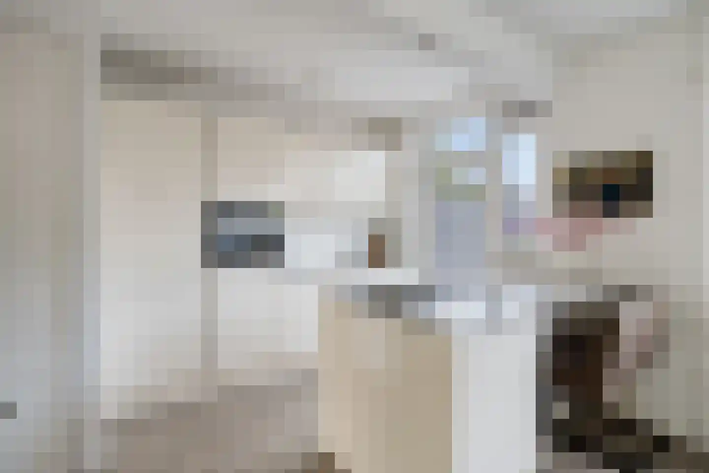 Tulpstraat 37 Malden thumbnail 9