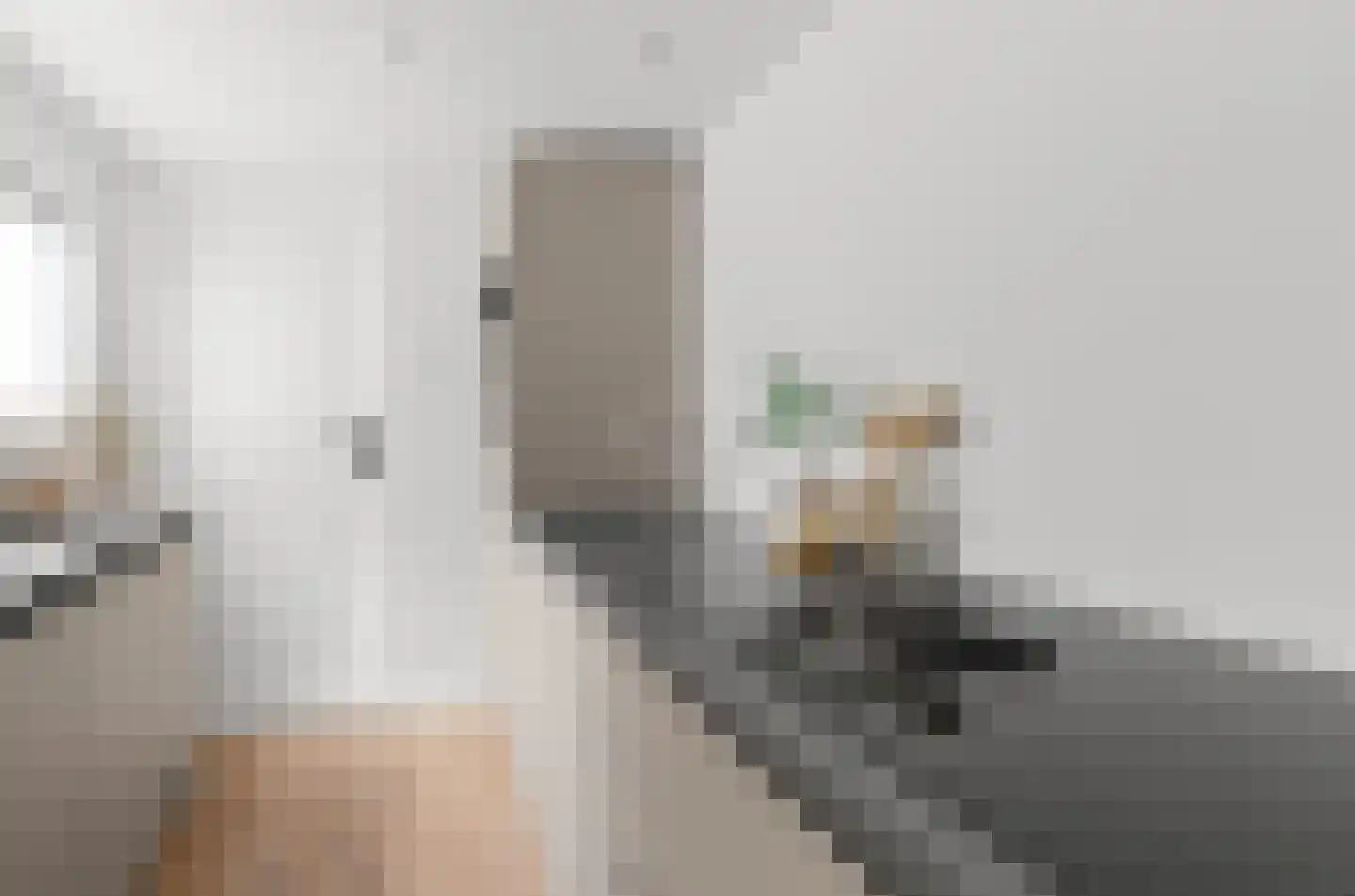 Tulpstraat 37 Utrecht thumbnail 13