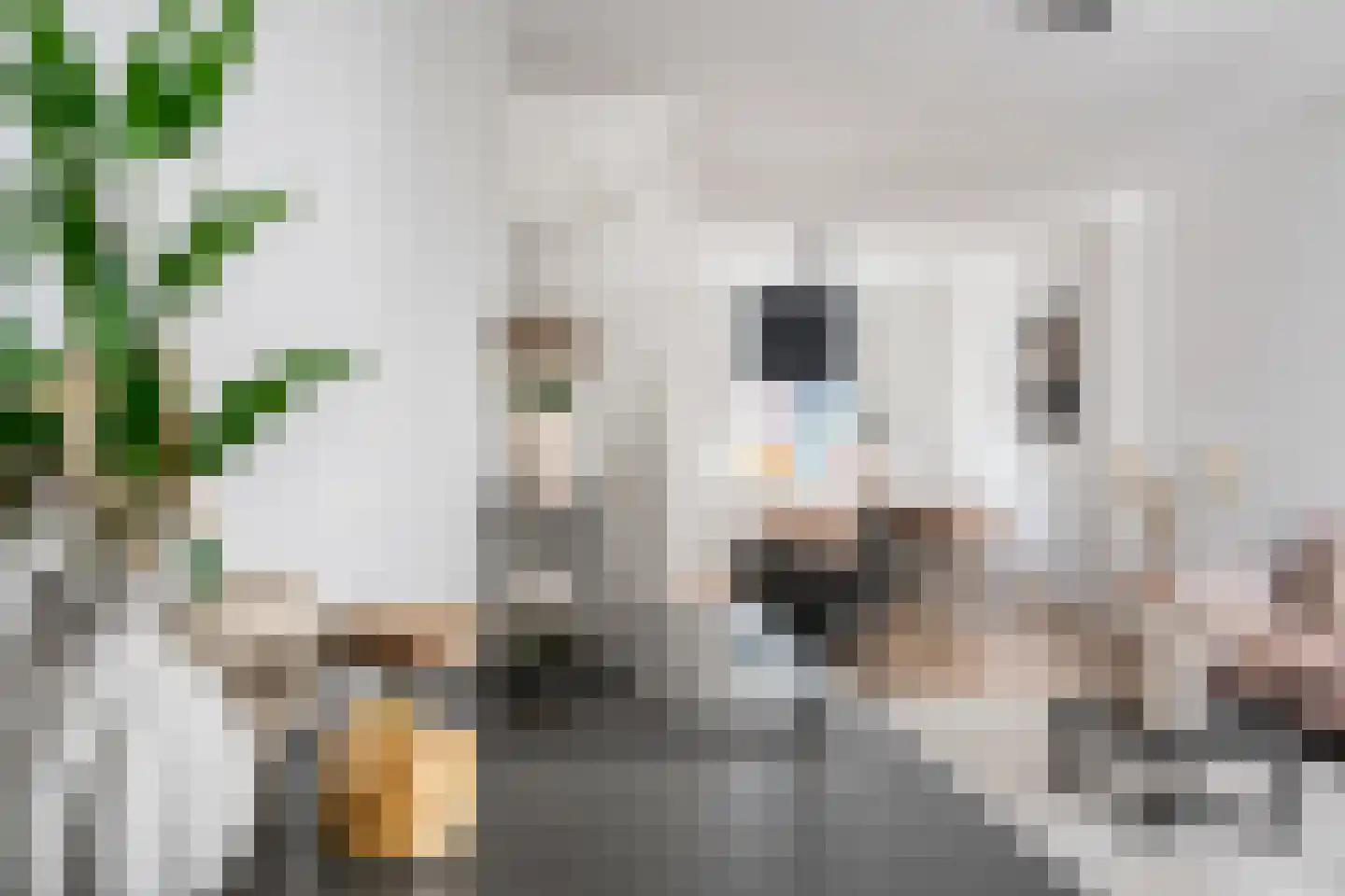 Tulpstraat 37 Utrecht thumbnail 17