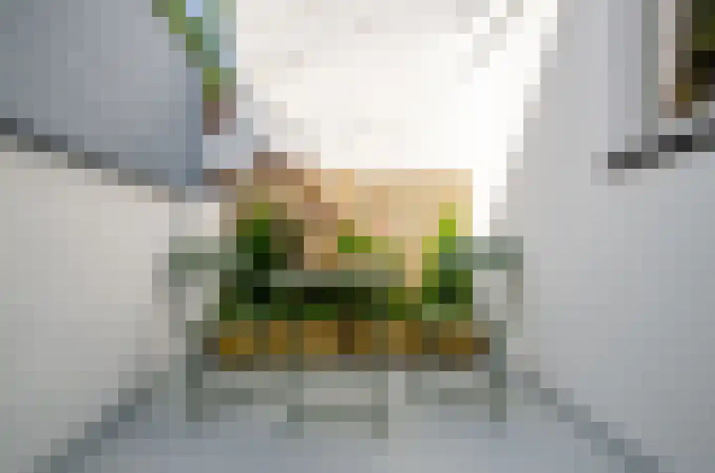 Tulpstraat 37 Utrecht thumbnail 18