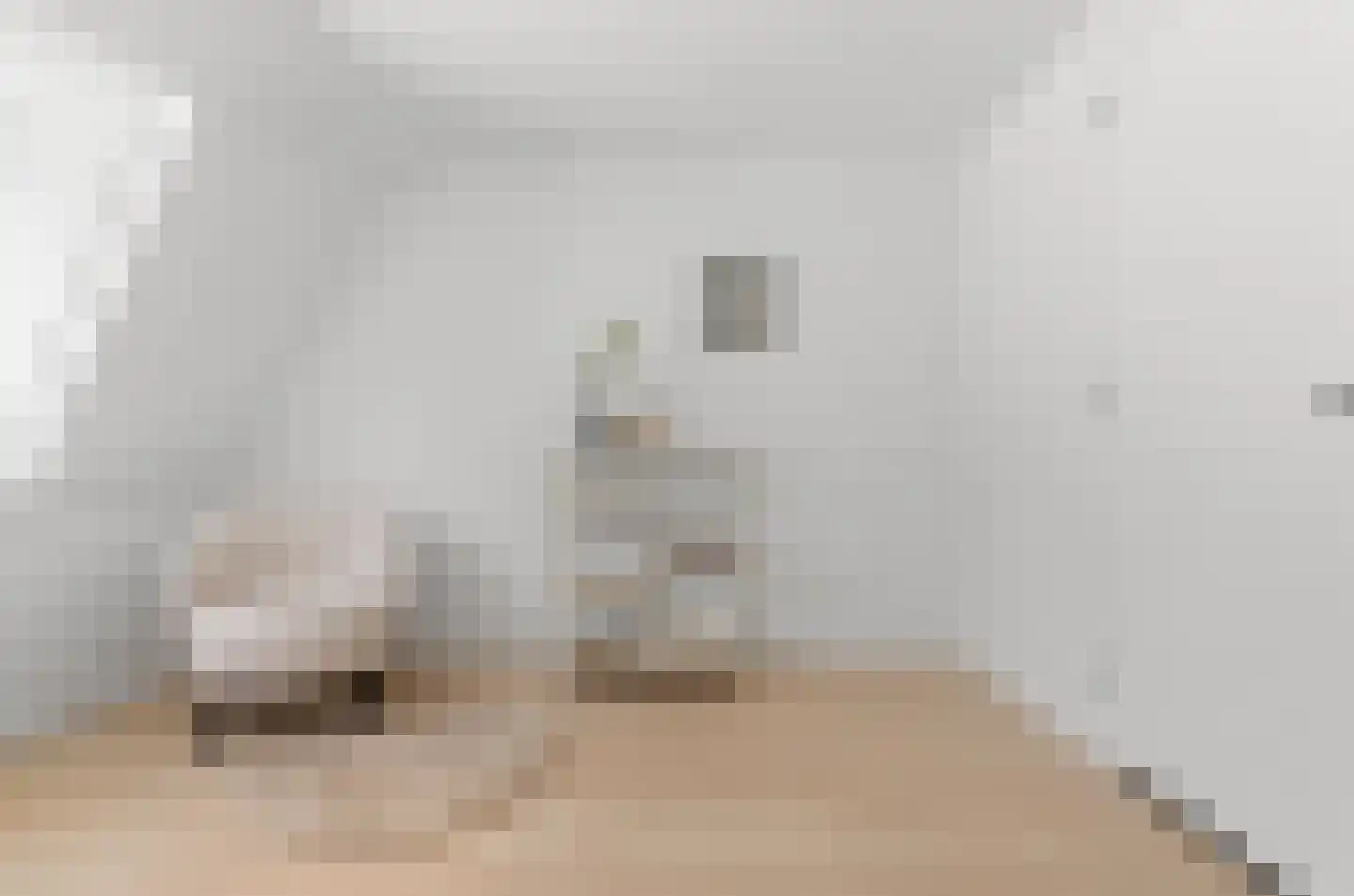 Tulpstraat 37 Utrecht thumbnail 26