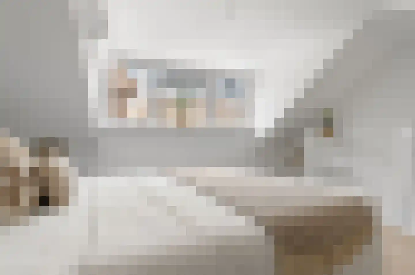 Tulpstraat 37 Utrecht thumbnail 36
